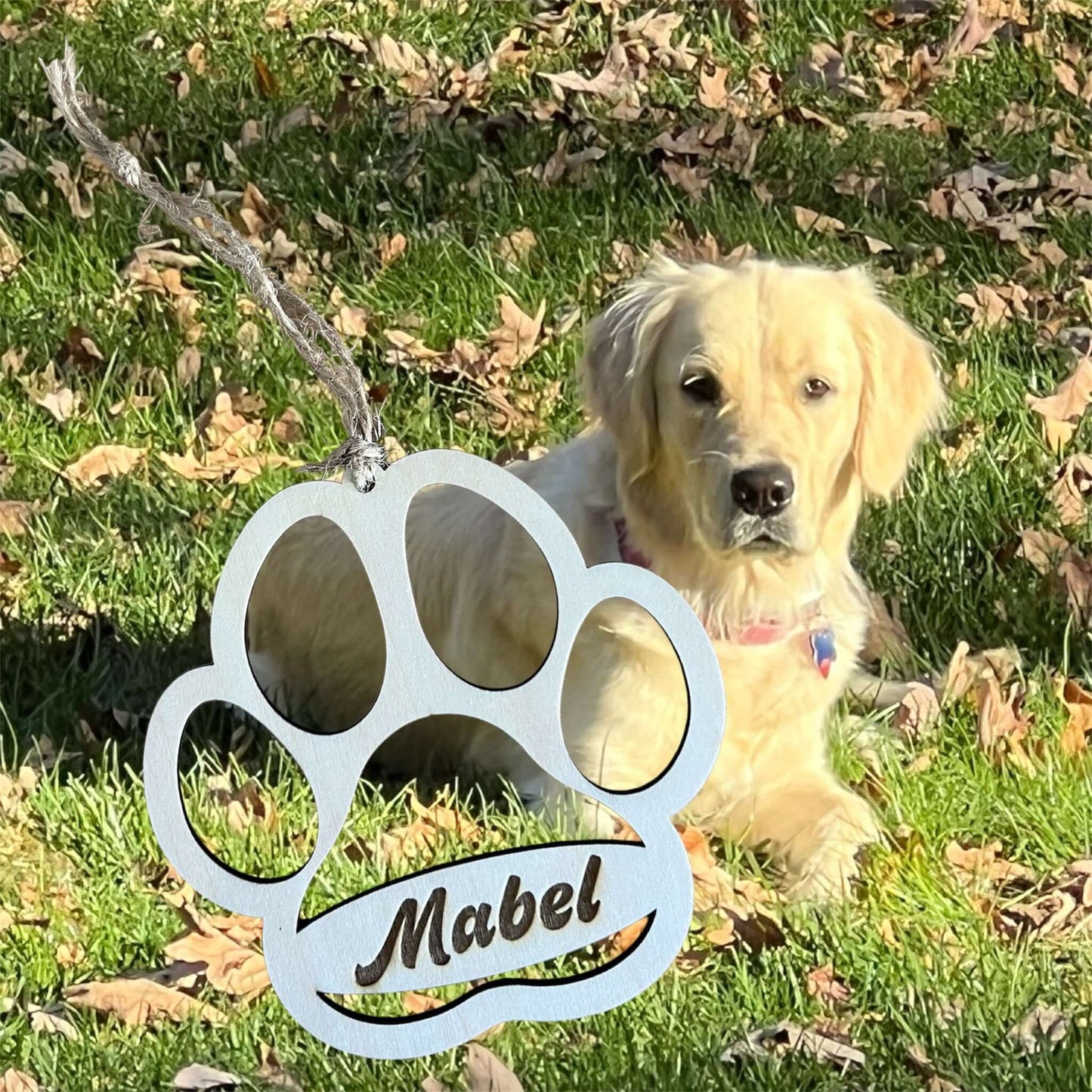 A hand hangs a personalized Dog Paw ornament by Wet Nose Woodworks with the name Mabel on a green Christmas tree, adding a unique touch to your holiday decor.