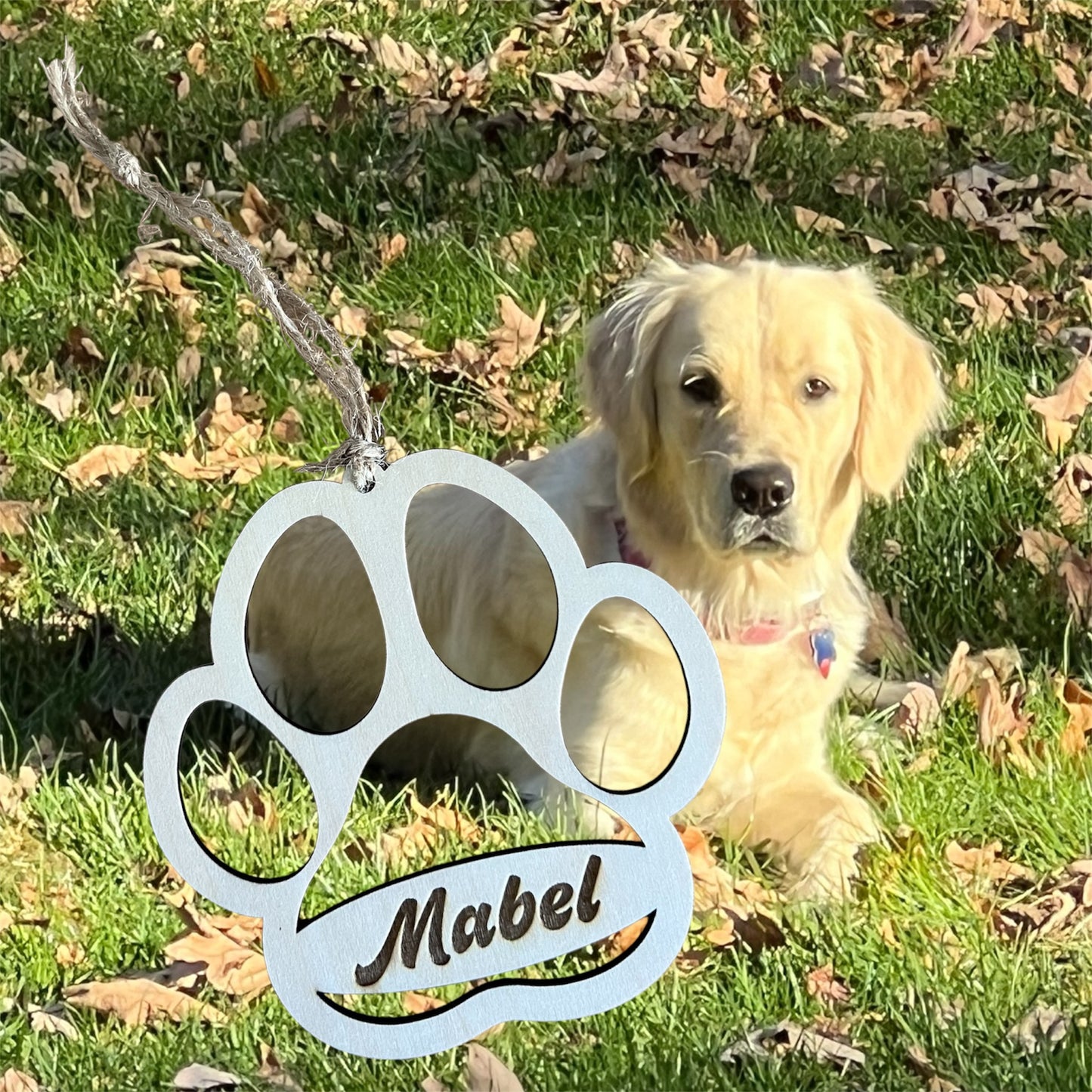 Dog Paw ornament