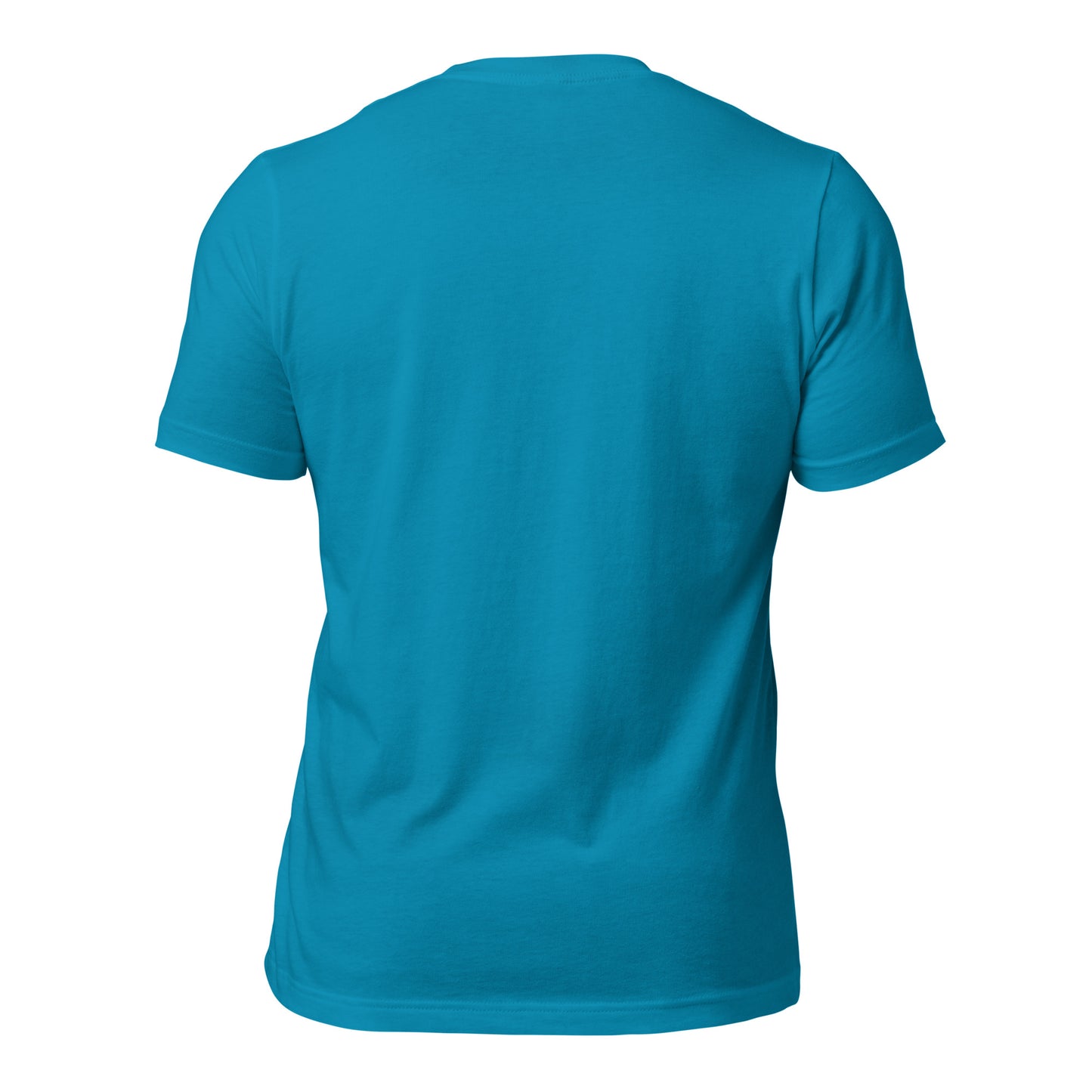 Wet Nose Woodworks logo t-shirt in Aqua, back view, alternate angle