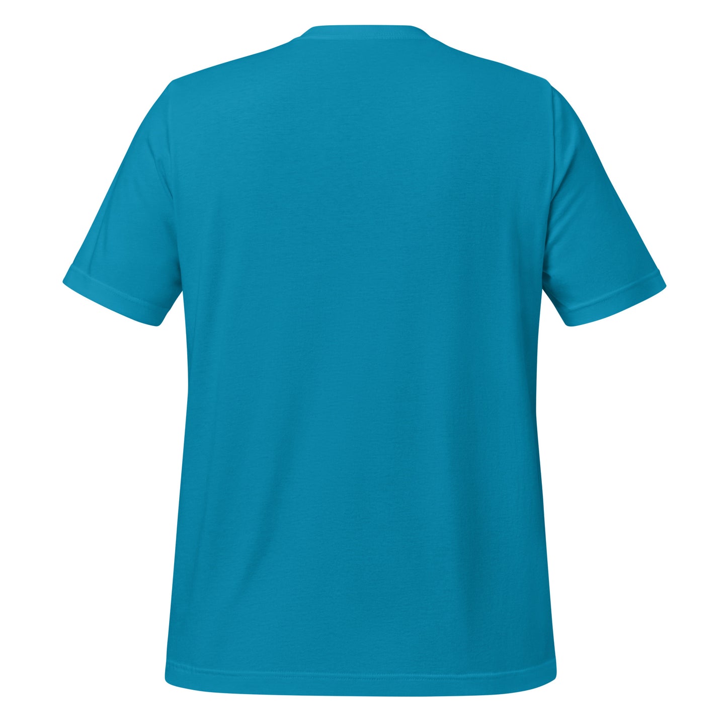Wet Nose Woodworks logo t-shirt in Aqua, back view