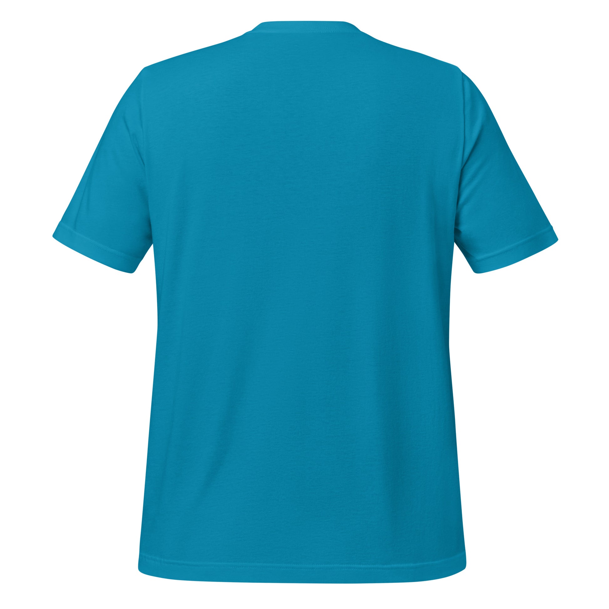 Wet Nose Woodworks logo t-shirt in Aqua, back view